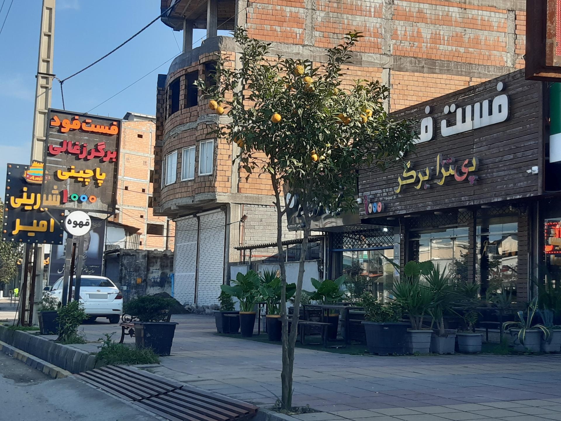 عکس پیتزا برگر 1000