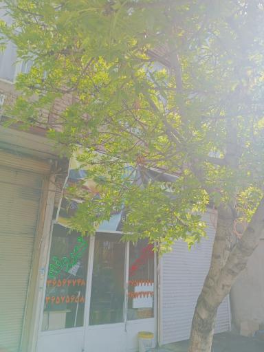 تاکسی شهروند