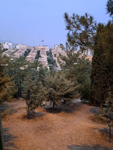 عکس بام پارک پرواز