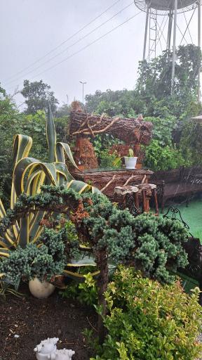 عکس کته کبابی عمو سیامک 