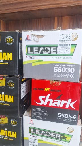 عکس باطری محبوبی 