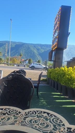 عکس کته کبابی عمو سیامک 