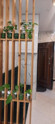 عکس فیزیوتراپی سلام