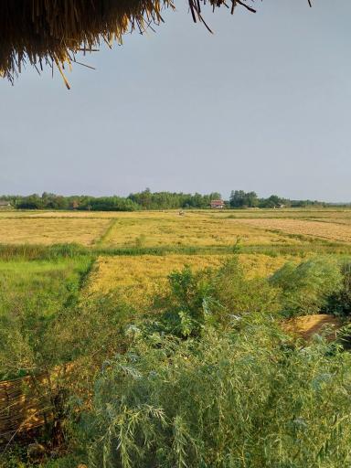 عکس اقامتگاه بوم گردی قدیم خونه