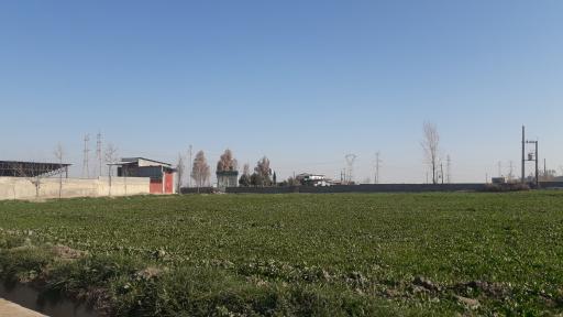 عکس بهشت رضا