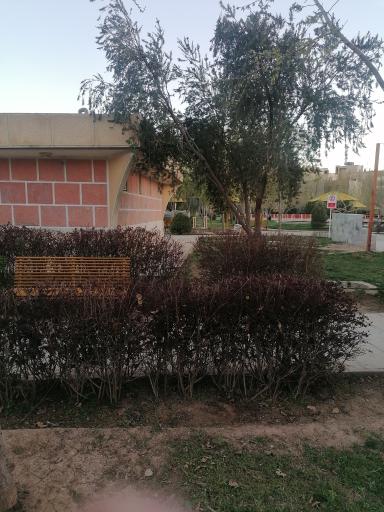 عکس توالت عمومی