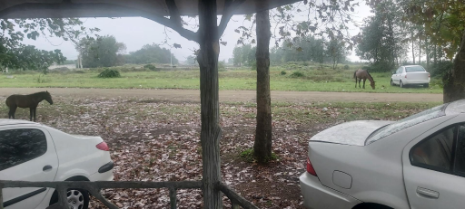 عکس طرح سالم سازی دریا لوندویل