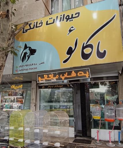 عکس پت شاپ ماکائو