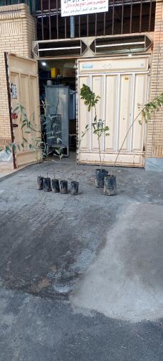 عکس خدمات فنی چناری 