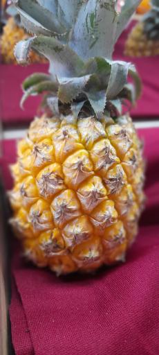 عکس میوه و سبزی مریوان فروت