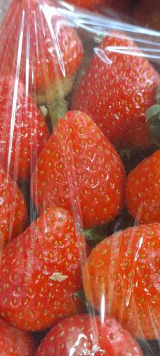 عکس میوه و سبزی مریوان فروت