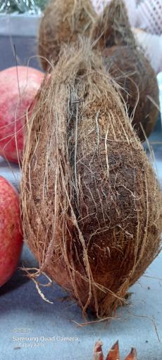 عکس میوه و سبزی مریوان فروت