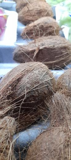 عکس میوه و سبزی مریوان فروت