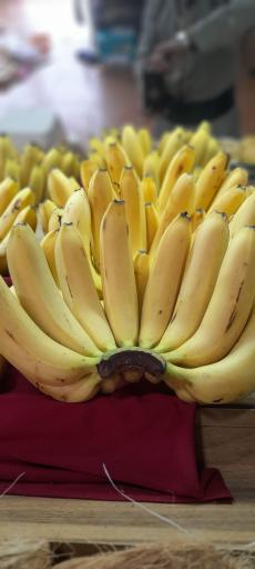 میوه و سبزی مریوان فروت