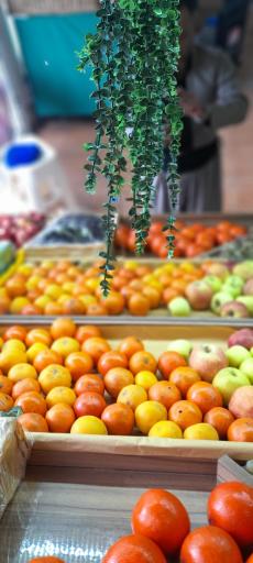 میوه و سبزی مریوان فروت