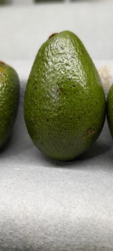 عکس میوه و سبزی مریوان فروت