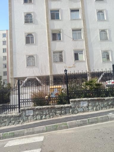 عکس ارغوان ۱۰۱