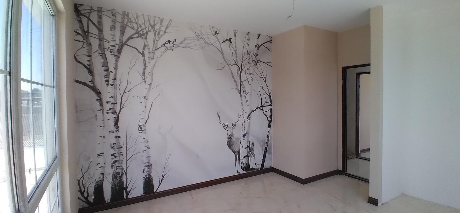 عکس تزئینات ساختمانی ونر