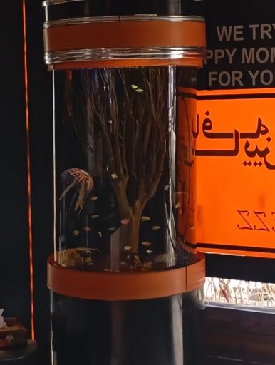 عکس کافه رستوران پاییز شعبه صادقیه
