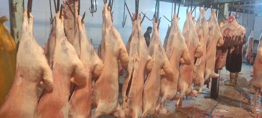 عکس قصابی شاهمرادی