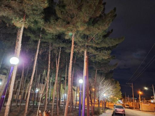 عکس بوستان محلی