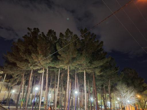 عکس بوستان محلی