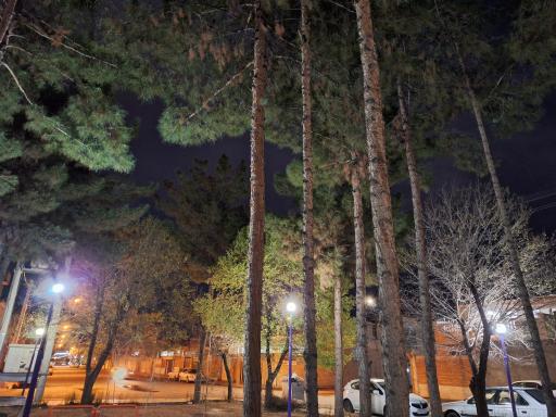 عکس بوستان محلی