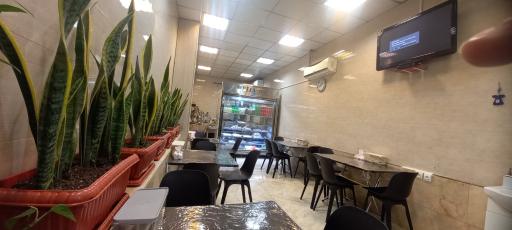 عکس هشتگ جیگر