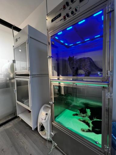 عکس کلینیک دامپزشکی سفید