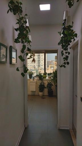 عکس مطب دکتر سیامک شایان