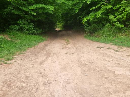 عکس جاده جنگل و چشمه پلنگ خیل