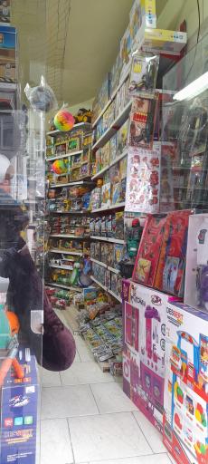 عکس اسباب بازی فروشی رها