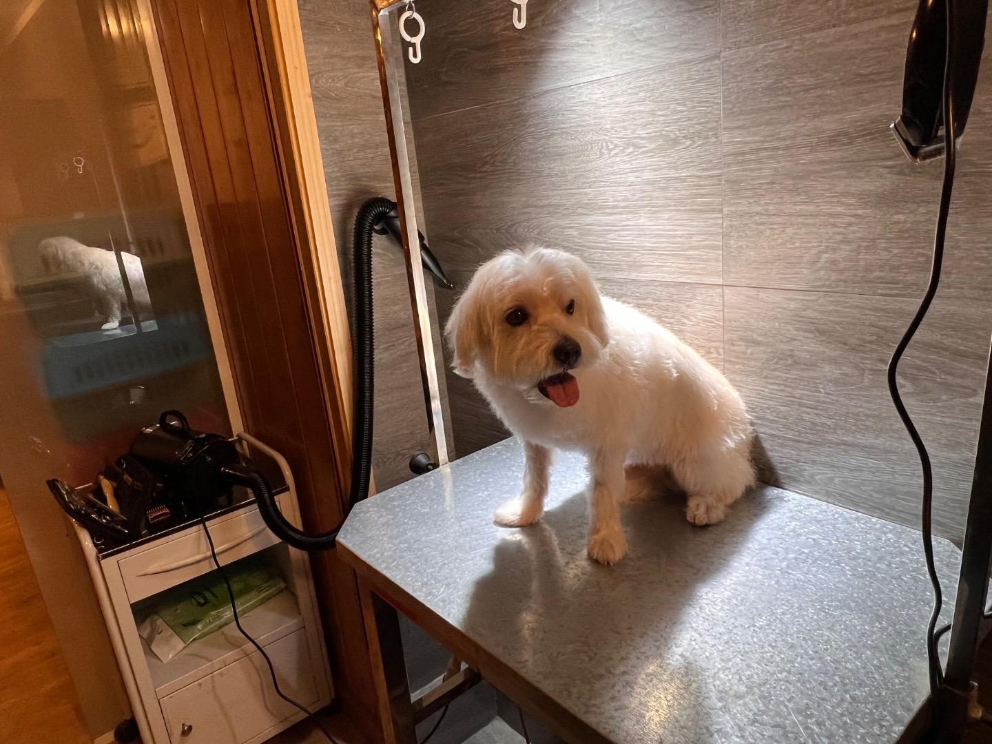 عکس کلینیک دامپزشکی باربد