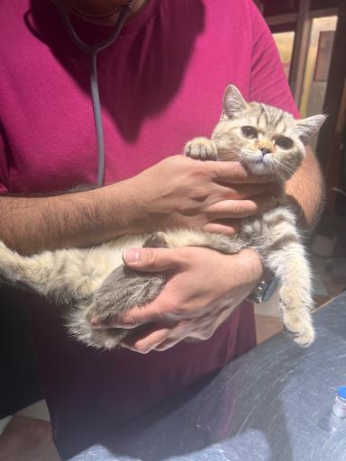 عکس کلینیک دامپزشکی باربد