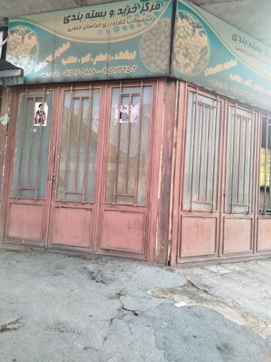 عکس خشکبار زمینی