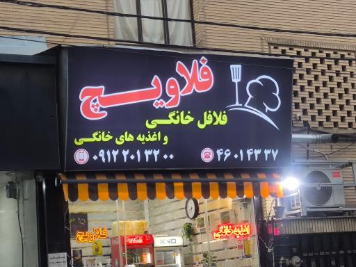 عکس اغذیه خانگی فلاویچ