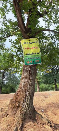 عکس مجموعه تفریحی و رستوران افراگل