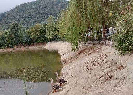 عکس مجموعه تفریحی و رستوران افراگل