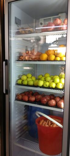 عکس بستنی علی مشتی