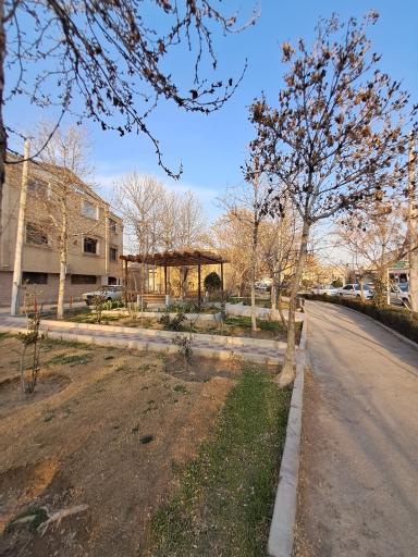 عکس فضای سبز خیابان طیب