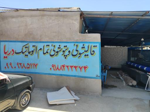 عکس قالیشویی نظری