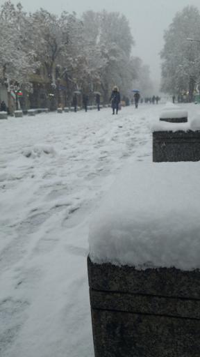 بوستان میدان بوعلی سینا