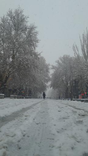 عکس بوستان میدان بوعلی سینا