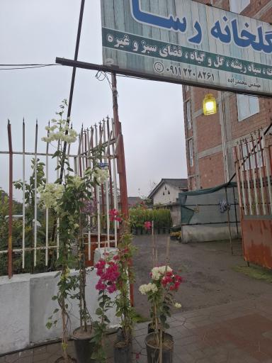 عکس نهالستان و گلخانه رسا