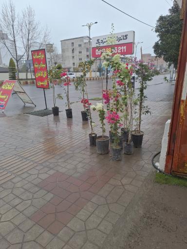 عکس نهالستان و گلخانه رسا