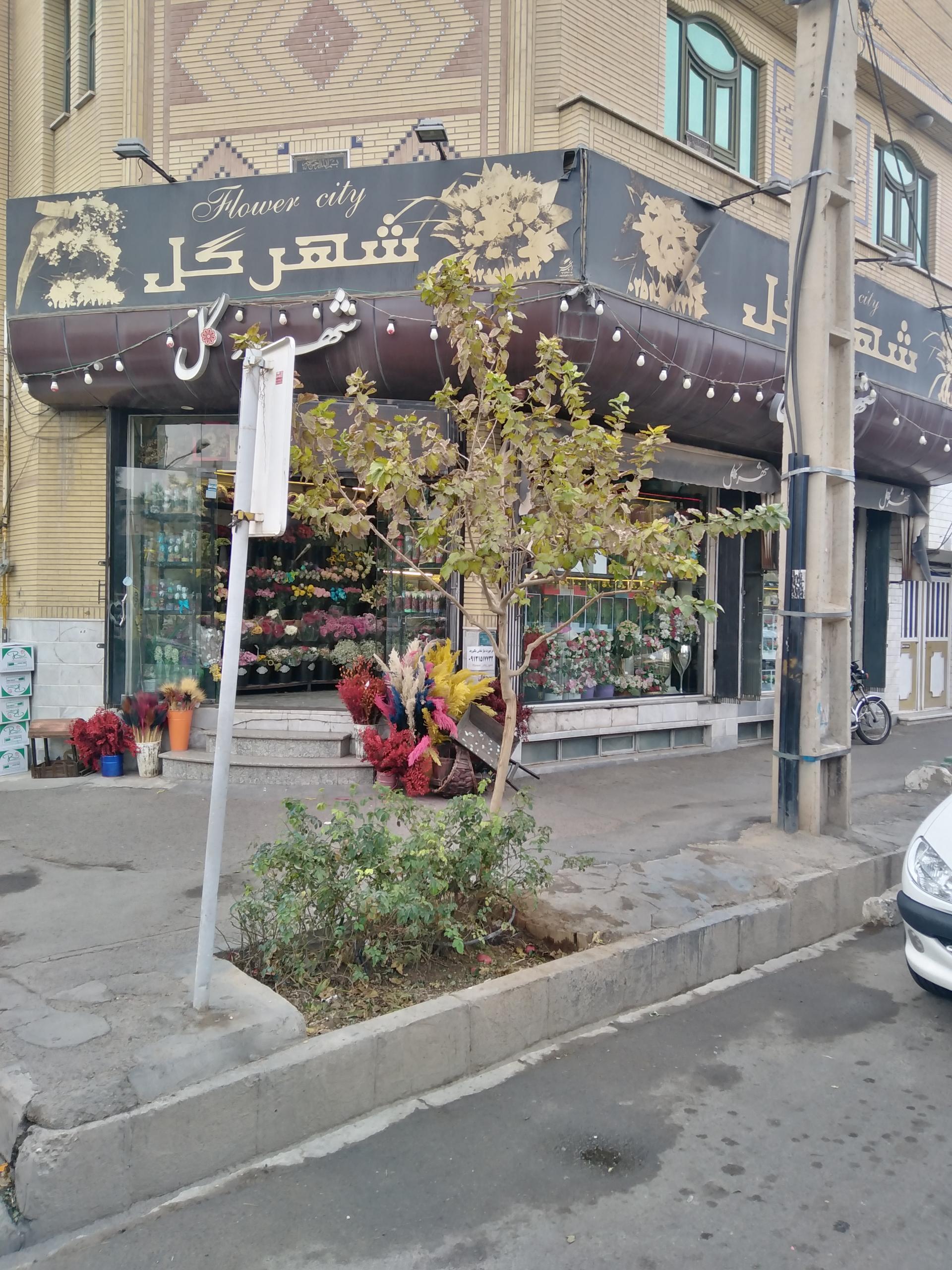 عکس گل فروشی شهر گل