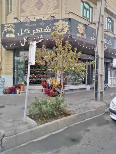عکس گل فروشی شهر گل