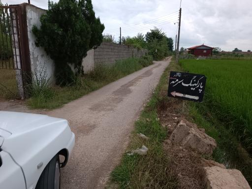 عکس تالار سرمه