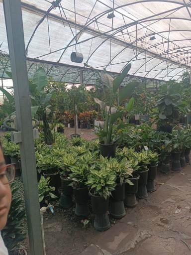 عکس مجموعه بازار گل و گیاه شهید لشکری