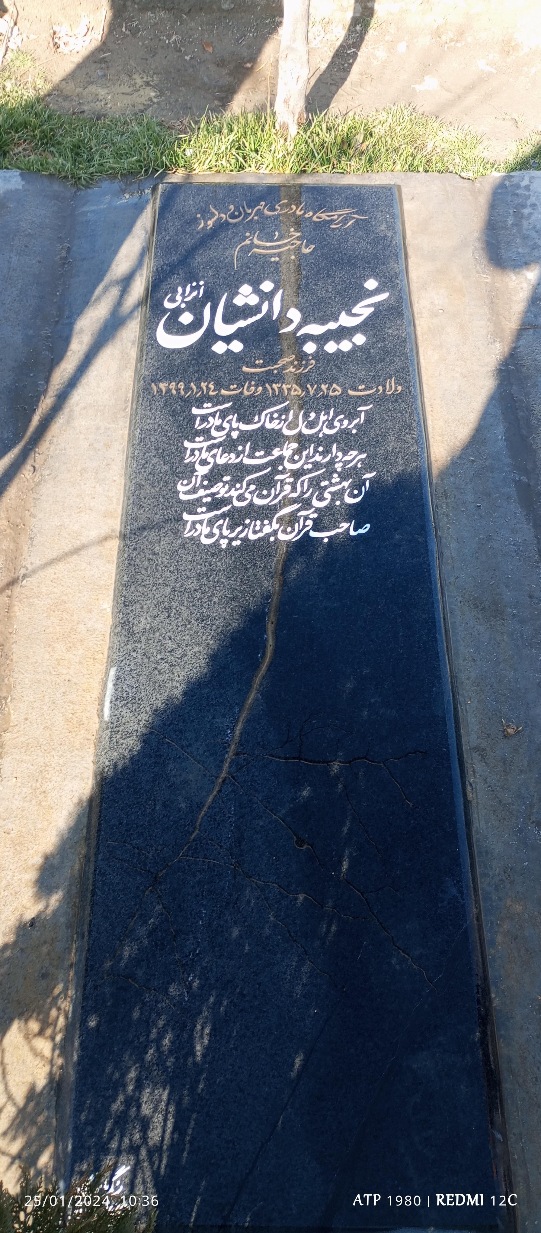 عکس مزار نجیبه دانشیان